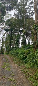 Property for sale in Madikeri, Kodagu