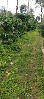 Property for sale in Madikeri, Kodagu