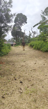 Property for sale in Madikeri, Kodagu