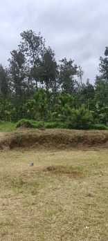 Property for sale in Ponnampet, Kodagu