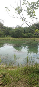 Property for sale in Ponnampet, Kodagu