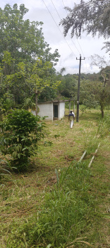 Property for sale in Ponnampet, Kodagu