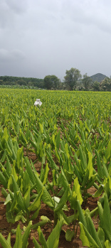 Property for sale in Kollegal, Chamrajnagar