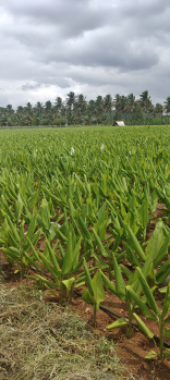 Property for sale in Kollegal, Chamrajnagar