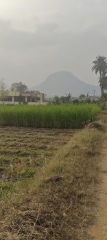 Property for sale in Beechaganahalli, ChikBallapur