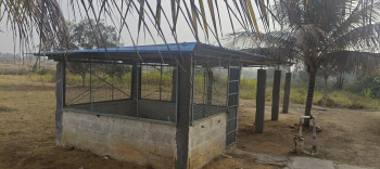 Agriculture property farm house