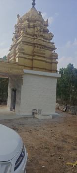 Agriculture/Residential property for sale