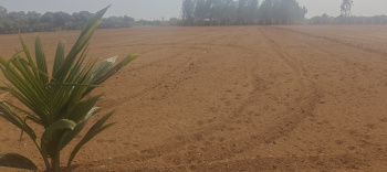 Property for sale in Bethamangala, Kolar