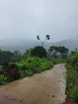 10 acres hill view coffee estate for sale