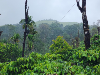 Property for sale in Madikeri, Kodagu