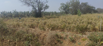 Property for sale in Hunsur Road, Mysore