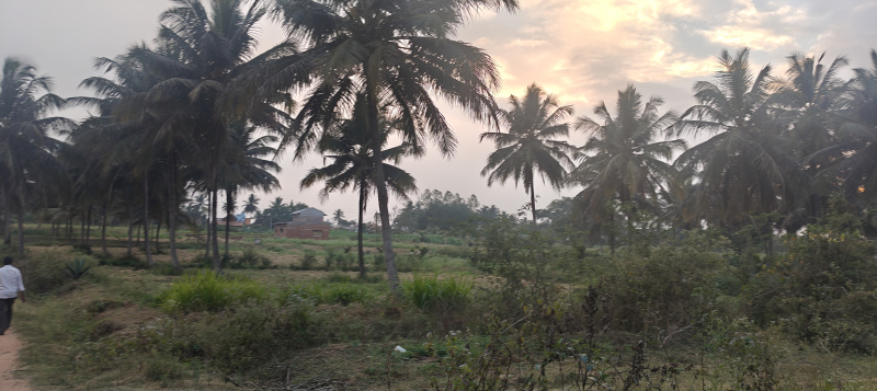 Property for sale in Krishnarajanagar, Mysore