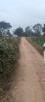 Agricultural/Farm Land for Sale in Hunsur Road, Mysore (4 Acre)