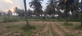Property for sale in Hunsur Road, Mysore