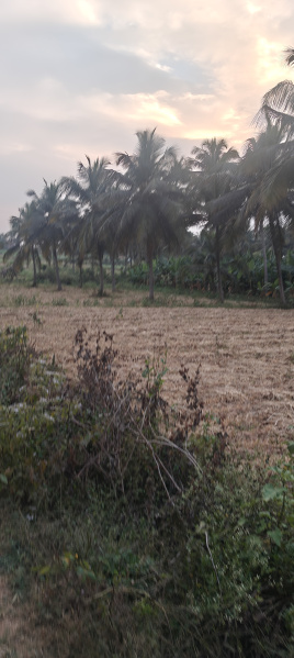 Property for sale in Hunsur Road, Mysore