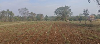 Agriculture property for sale in k r nagara