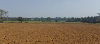 9 acres agriculture property for sale