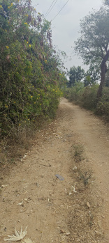 Agricultural/Farm Land for Sale in Krishnarajanagar, Mysore (3 Acre)