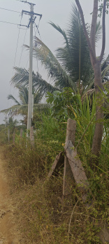 1 acre agriculture farm for sale