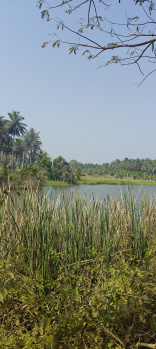 Property for sale in Hunsur, Mysore
