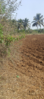 2 acres agriculture property for sale