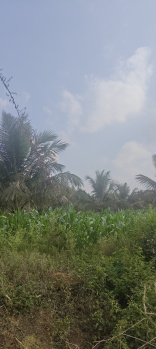 Property for sale in Hunsur, Mysore