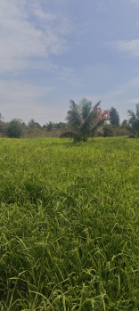 Property for sale in Hunsur, Mysore