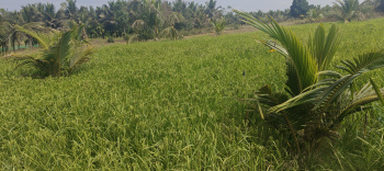 Property for sale in Hunsur, Mysore