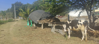 Property for sale in Bethamangala, Kolar