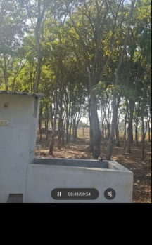 1.5 acres lake view property for sale