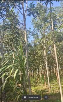 Property for sale in Bethamangala, Kolar