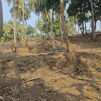 River attached property for sale