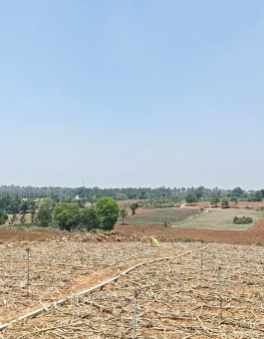 1 acres agriculture property for sale