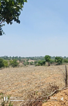20 acre agriculture property for sale