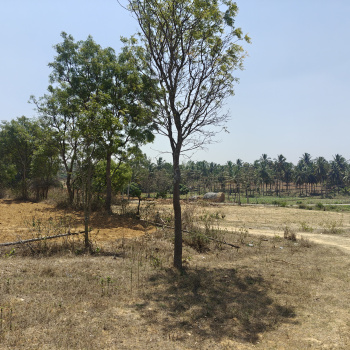 Property for sale in Nanjangud, Mysore