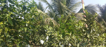 Property for sale in Bangarapet, Kolar