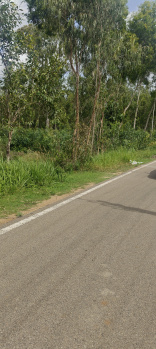 Agricultural/Farm Land for Sale in Malavalli, Mandya (1.5 Acre)