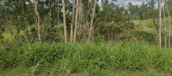 Property for sale in Malavalli, Mandya