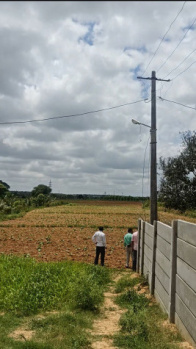 2 acres agriculture property for sale