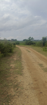 2 acres lake view property for sale