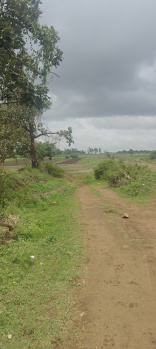 Agricultural/Farm Land for Sale in Hunsur, Mysore (1.5 Acre)