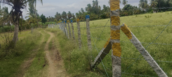 Agricultural/Farm Land for Sale in Malavalli, Mandya (3 Acre)
