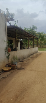 4 acres agriculture farm for sale