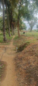 Property for sale in Malavalli, Mandya
