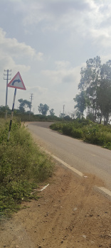5 acres Nandi hill view property for sale