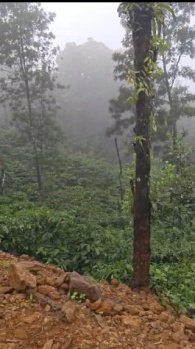 Property for sale in Coorg, Mysore