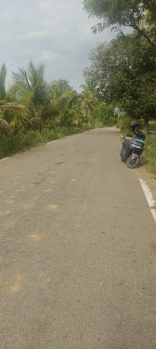 Agricultural/Farm Land for Sale in Channapatna, Bangalore (2 Acre)