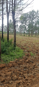 Agricultural/Farm Land for Sale in Chikkaballapur, Bangalore (2 Acre)