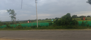 Agricultural/Farm Land for Sale in Hunsur, Mysore (8.5 Acre)