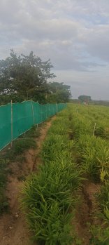 Property for sale in Hunsur, Mysore